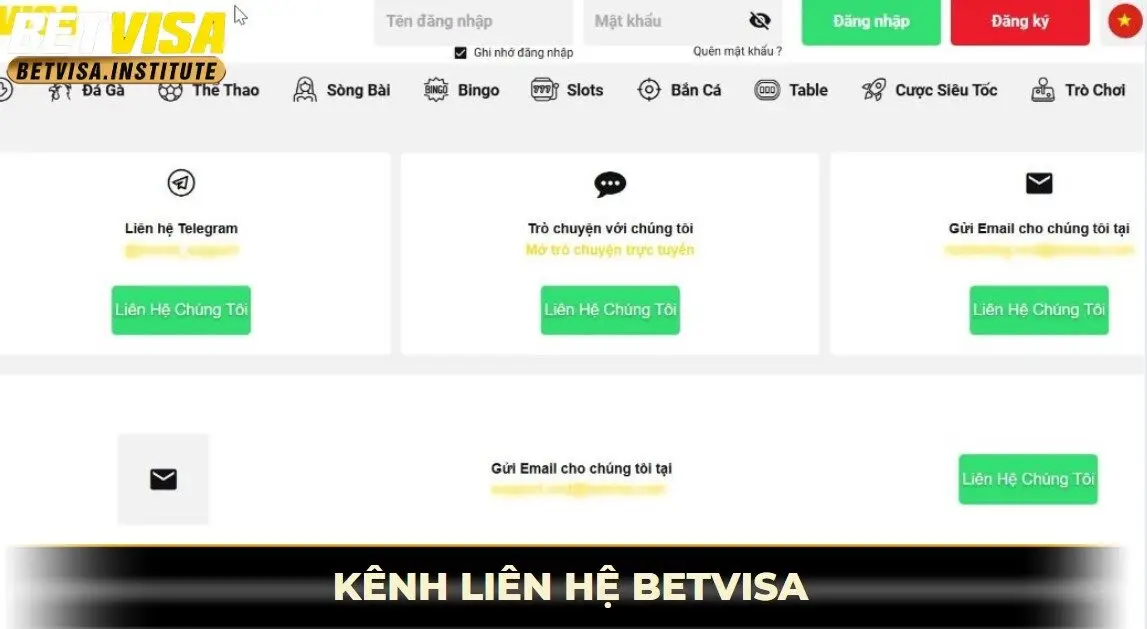 kênh liên hệ betvisa