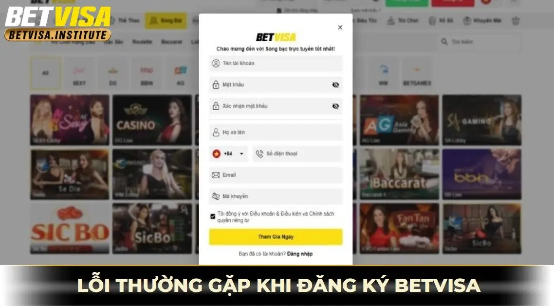 lỗi thường gặp khi đăng ký betvisa